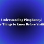 Understanding PimpBunny